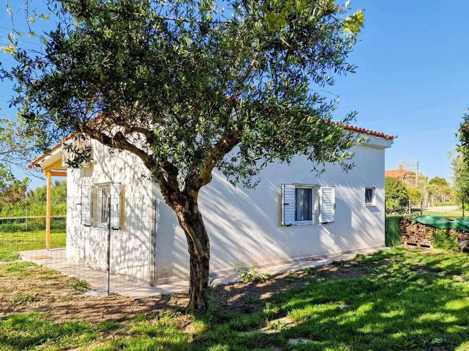 Cozy Owl'S Studio Home Pyrgos  Ngoại thất bức ảnh